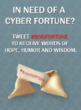 In need of a cyber fortune?